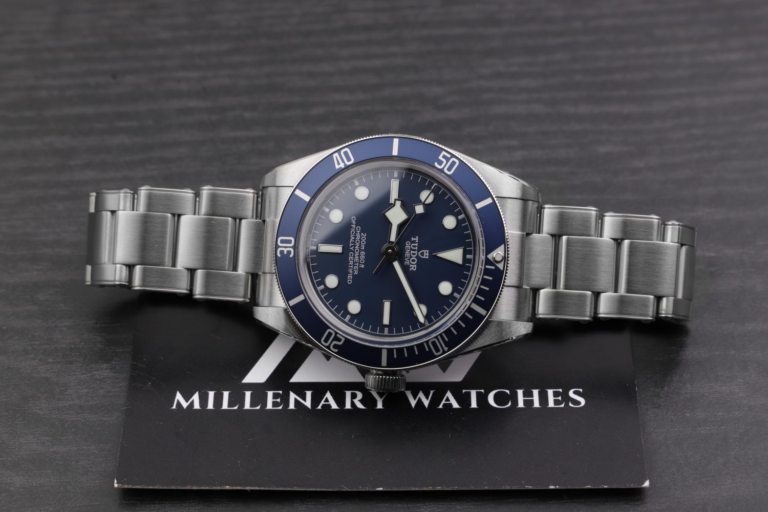 Tudor Black Bay 58 79030N and Tudor black Bay 58 79030B Blue